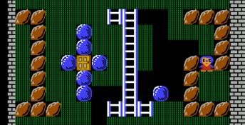 Banana Prince NES Screenshot