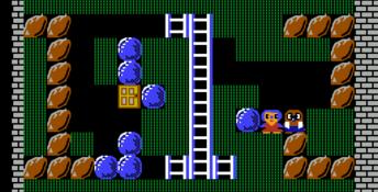 Banana Prince NES Screenshot