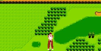 Bandai Golf: Challenge Pebble Beach NES Screenshot