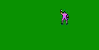 Baseball Stars II NES Screenshot