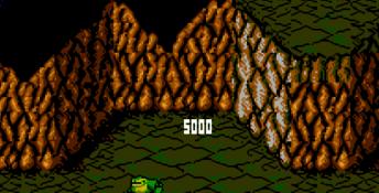 Battletoads NES Screenshot