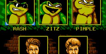 Battletoads & Double Dragon - The Ultimate Team NES Screenshot