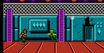 Battletoads & Double Dragon - The Ultimate Team NES Screenshot