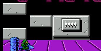 Battletoads & Double Dragon - The Ultimate Team NES Screenshot