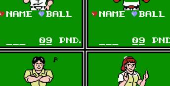 Championship Bowling NES Screenshot
