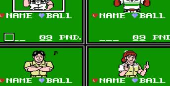 Championship Bowling NES Screenshot