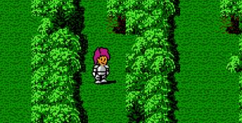 Day Dreamin' Davey NES Screenshot
