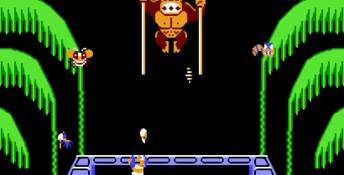 Donkey Kong 3
