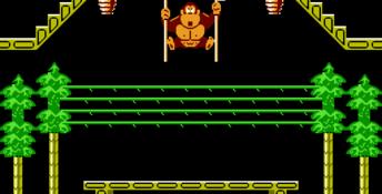 Donkey Kong 3 NES Screenshot