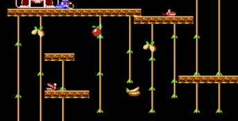 Donkey Kong Classics NES Screenshot