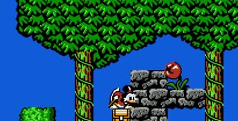 Duck Tales NES Screenshot