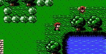 Faria: A World of Mystery and Danger NES Screenshot