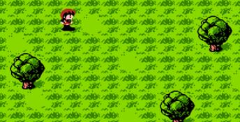 Faria: A World of Mystery and Danger NES Screenshot