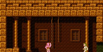 Faxanadu NES Screenshot