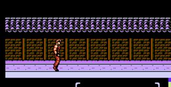 Flying Warriors NES Screenshot