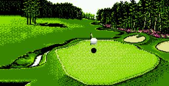 Golf Grand Slam NES Screenshot