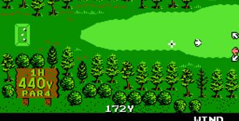 Golf Grand Slam NES Screenshot