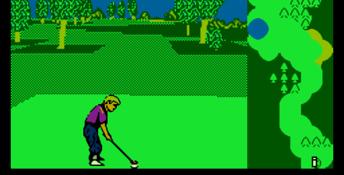 Greg Norman's Golf Power NES Screenshot