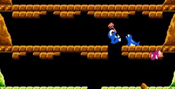 Ice Climber NES Screenshot