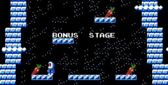 Ice Climber NES Screenshot