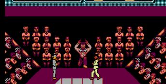 The Karate Kid NES Screenshot