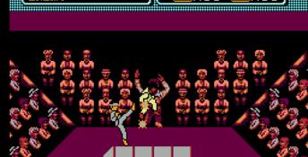 The Karate Kid NES Screenshot