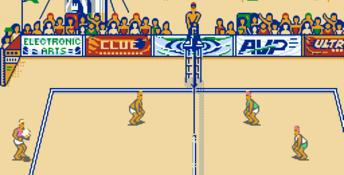 Kings of the Beach NES Screenshot