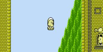 Kiwi Kraze NES Screenshot