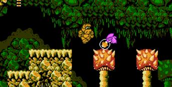 Little Samson NES Screenshot