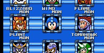 Mega Man 6 NES Screenshot