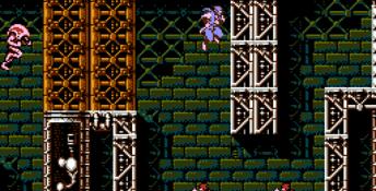 Ninja Gaiden 3: The Ancient Ship of Doom NES Screenshot