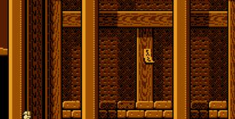 Phantom Fighter NES Screenshot