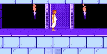 Prince of Persia NES Screenshot