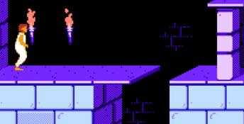 Prince of Persia NES Screenshot