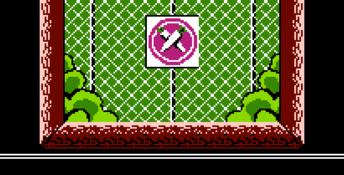 Princess Tomato in the Salad Kingdom NES Screenshot
