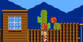 Puss 'n Boots: Pero's Great Adventure NES Screenshot
