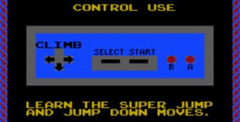 Skull and Crossbones NES Screenshot