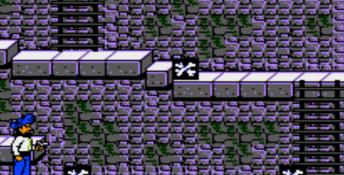 Skull and Crossbones NES Screenshot