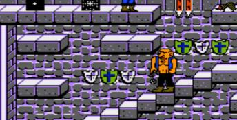 Skull and Crossbones NES Screenshot