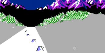 Slalom NES Screenshot