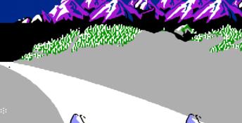 Slalom NES Screenshot