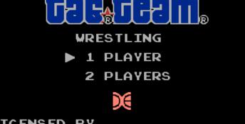 Tag Team Wrestling NES Screenshot