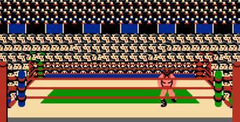 Tag Team Wrestling NES Screenshot