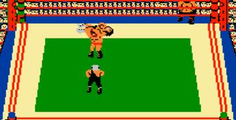 Tag Team Wrestling NES Screenshot