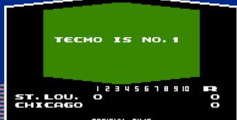 Tecmo Baseball NES Screenshot