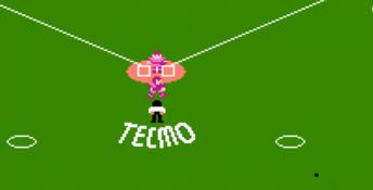 Tecmo Baseball NES Screenshot