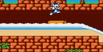 Tiny Toon Adventures 2: Trouble in Wackyland NES Screenshot