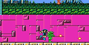 Totally Rad NES Screenshot