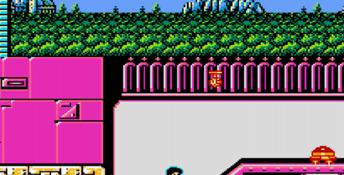 Totally Rad NES Screenshot