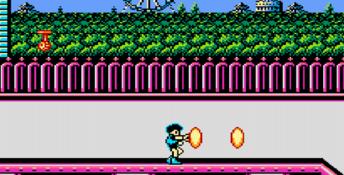 Totally Rad NES Screenshot